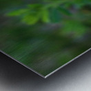 Baby Geese Metal print