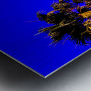 Sweaty Palms Part 2  Metal print