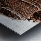 Grape Baskets Metal print