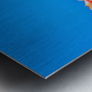 On The Cliff Metal print