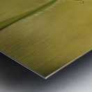 Seedless Time  Metal print