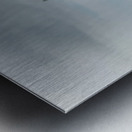 Savannah Area Bridge Metal print