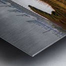 Savannah Shipyard Marsh Silhouette Metal print