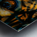 Wild Cat Eyes Metal print