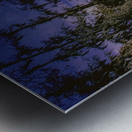 Louisiana Line of Trees Winter Wanderings Metal print