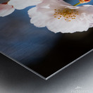 Spring Shogetsu 4 Metal print