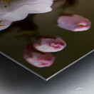 Spring - Shogetsu 3 Metal print