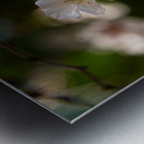 Spring - Shogetsu 2 Metal print