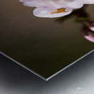 Spring Shogetsu Metal print