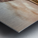 Reine Winter High Water Metal print