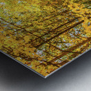 Fall Drive Near Guelph Metal print