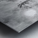 Frozen Giants  Metal print