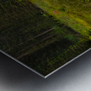 Moraine Stream Wildflower Display Metal print