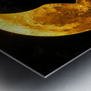 Lunar  Metal print