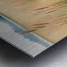 Reeds2 Metal print