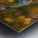 White Beauty Peacock Metal print