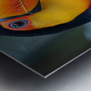 Beautiful Toucan Bird Metal print