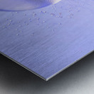 The Path Around  Metal print