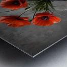 Red Poppies Metal print