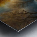 INFINITE BEAUTY Metal print