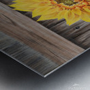 Sunshine In My Garden - Painting Metal print