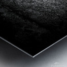 Oie blanche noir et blanc Metal print