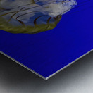 Resting Metal print