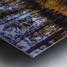 Woodland Marsh Sunset Winter Glow Metal print