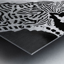 Eurasia and the Black Sea Metal print