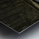 Log Metal print