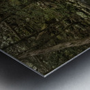 Rooted Metal print