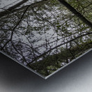 climb Metal print