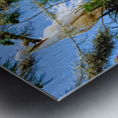 THE EGRET FAMILY Metal print