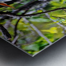 FRAMED BY NATURE Metal print