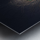 ostrich feather on dark stone  Metal print