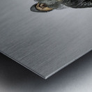 rocker with long beard and leather jacket  Metal print