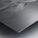 Free Form  Metal print