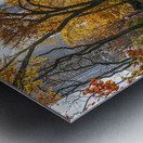 Central Park Metal print