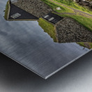 house with green roof  Metal print