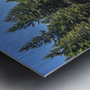 view of sciury Metal print
