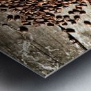 espresso and coffee grain Metal print