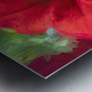Pretty Proud Red Petunias X Metal print