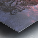 Tree in the green lake Metal print