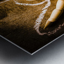 Tracing of tragedy Metal print