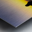 Sunset silhouettes at city viewpoint Metal print