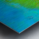 Resurrection Ripples Metal print