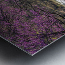 Wooden bench view of Valley Falls on spring morning Metal print