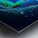 Origin of Cuttlefish  Metal print