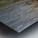 FOX PAIR Metal print