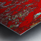 Lintos Metal print